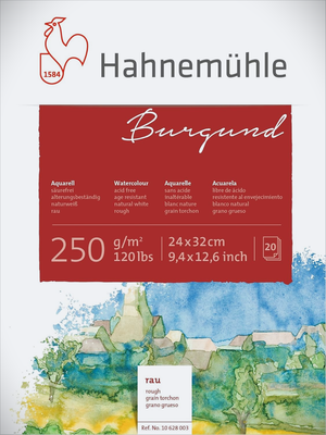 Cuaderno Prof. Acuarela Hahnemuhle  20 hojas 250gsm