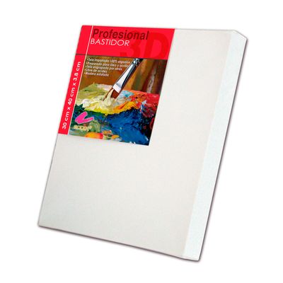 Bastidor Profesional 3D RODIN, 30cmx 40cm. x 3.8cm.