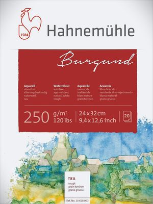 Cuaderno Prof. Acuarela Hahnemuhle 20 hojas 250gsm