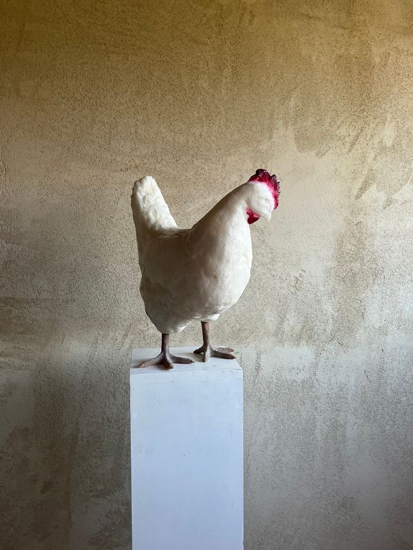 Huhn