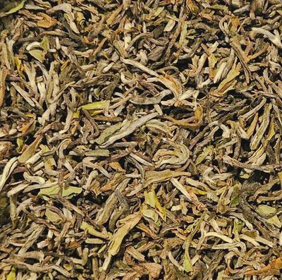 1st Flush Darjeeling Tea