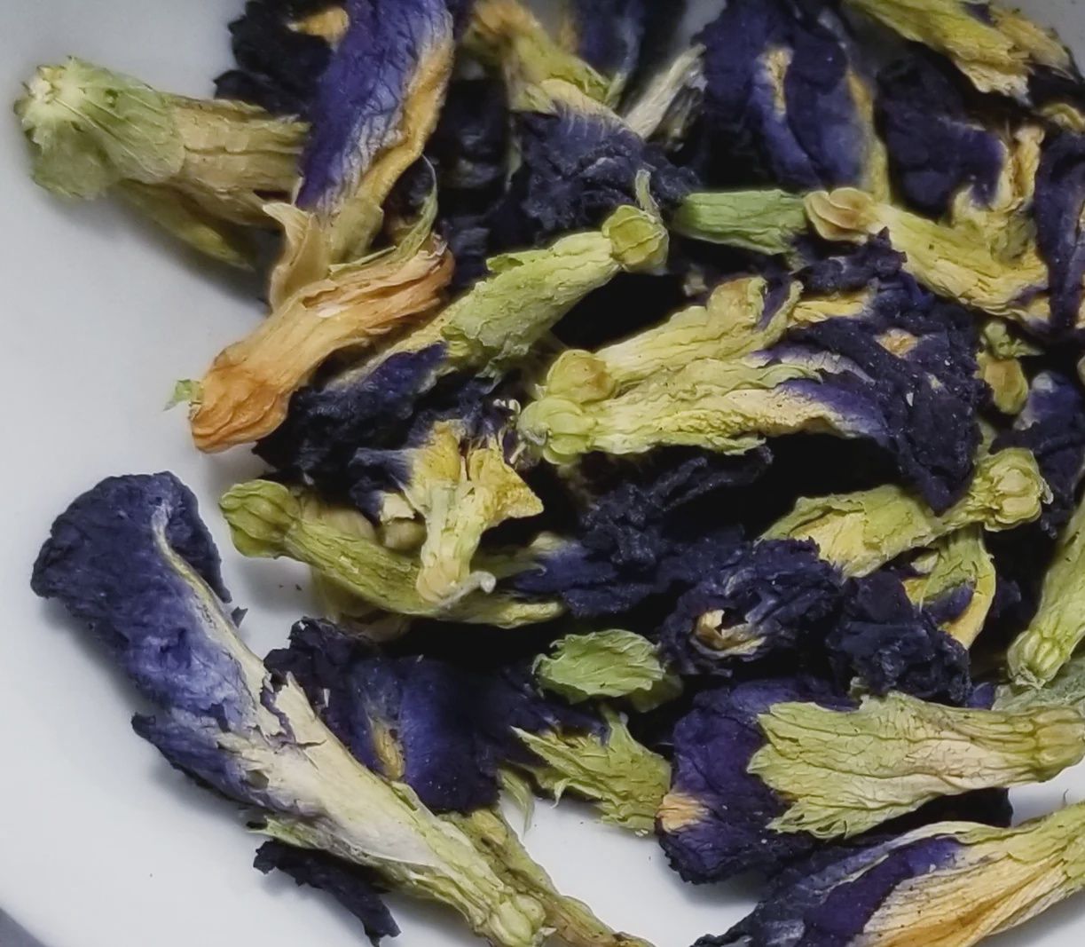 Butterfly Pea Flower