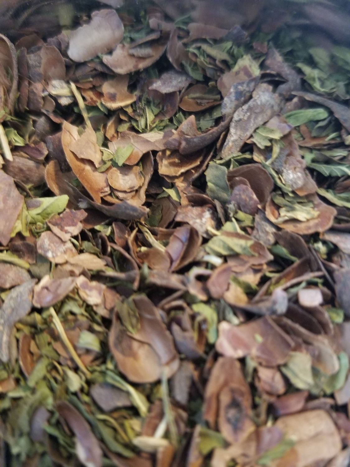 Chocolate Peppermint Tea