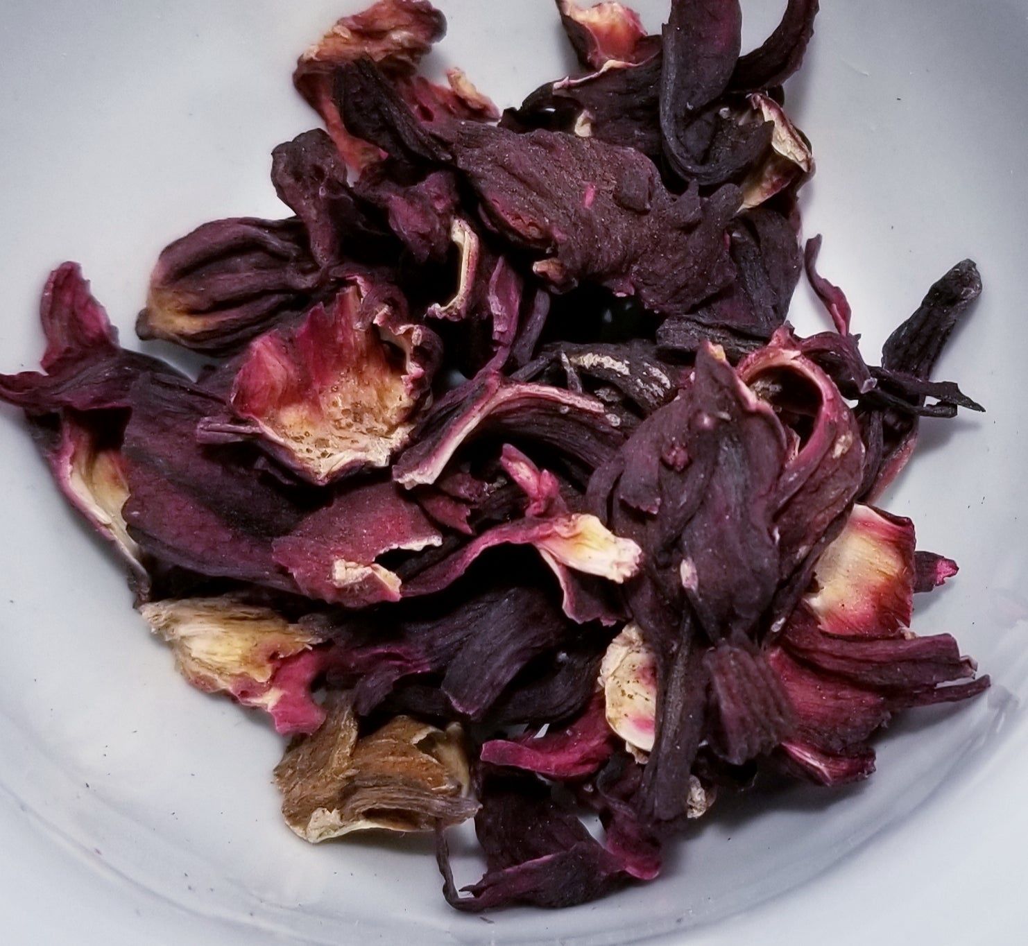 Hibiscus, Rabak