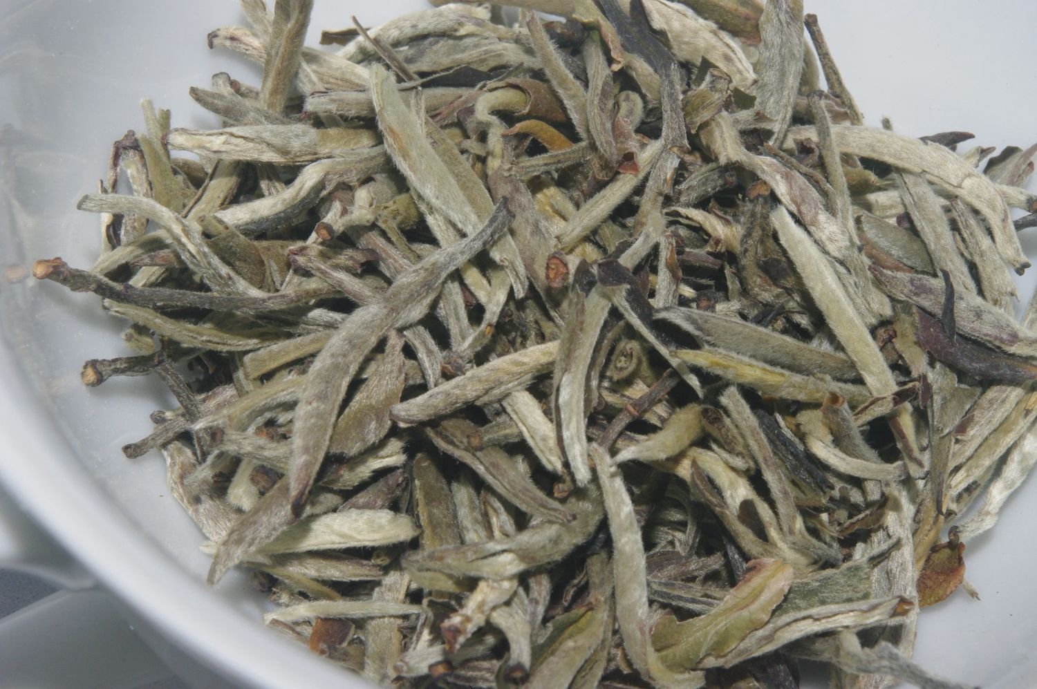 Silver Needle