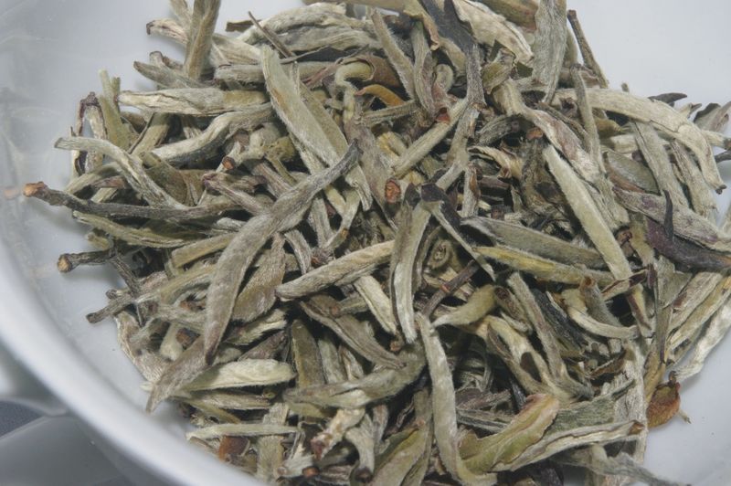 Silver Needle