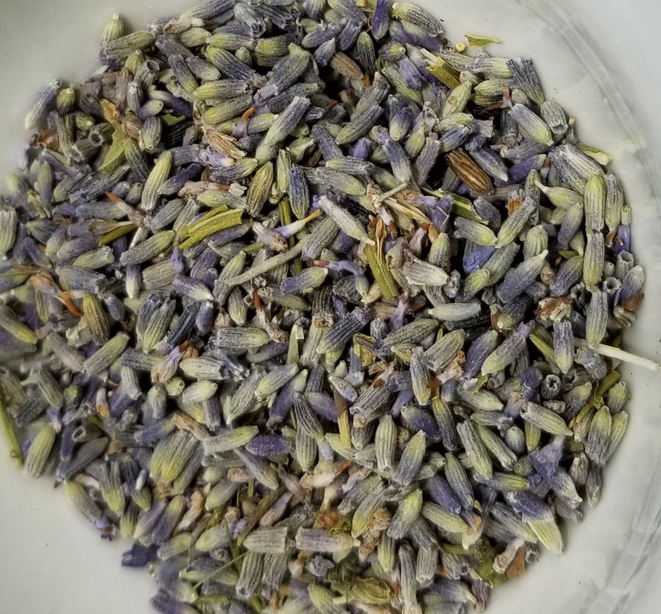 Lavender, Special Blue