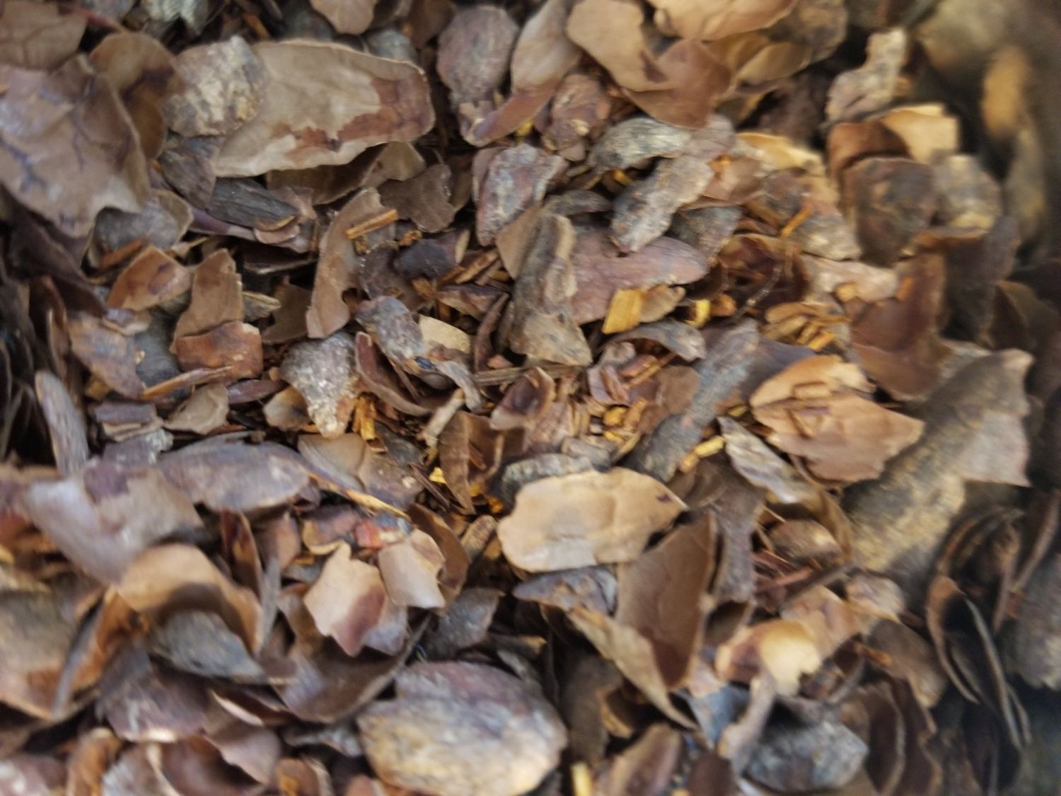 Vanilla Rooibos