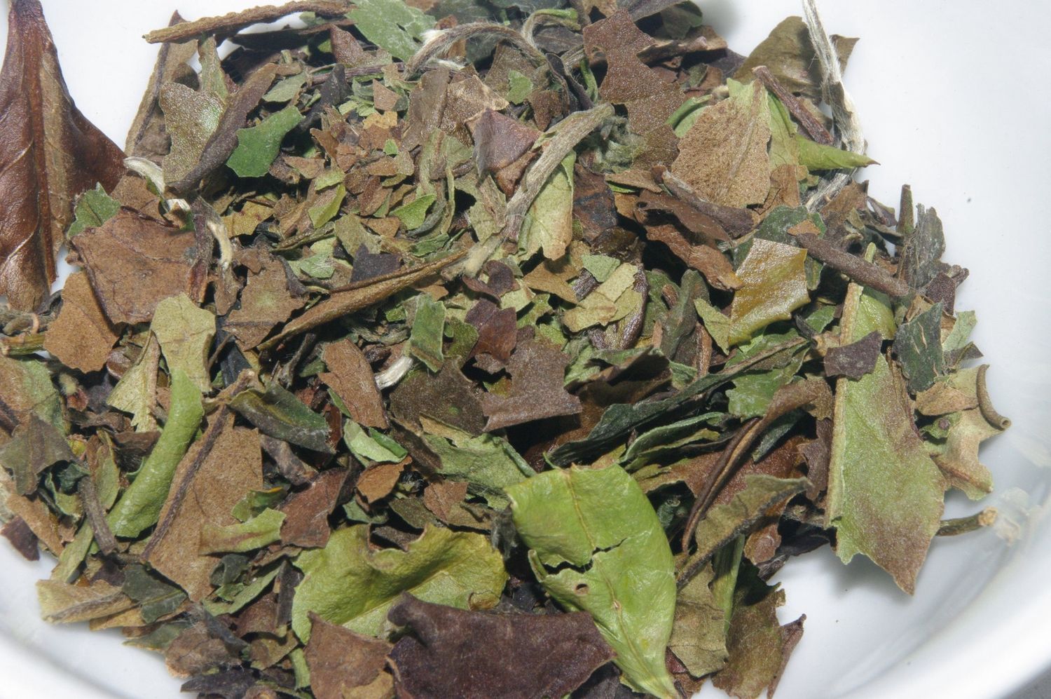 White Peony (Bai Mu Dan)