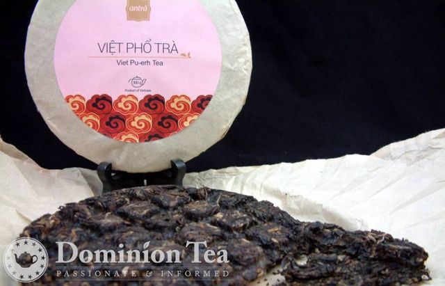 2020 Snow Shan Shu Puerh-S
