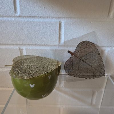 Leaf Strainer
