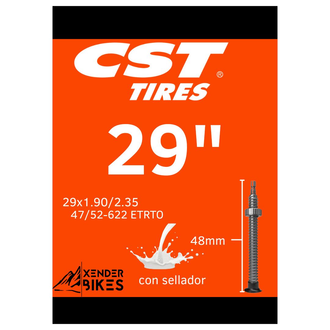 CST 29 x1.90/2.35 VF 48mm CAMARA CON SELLADOR