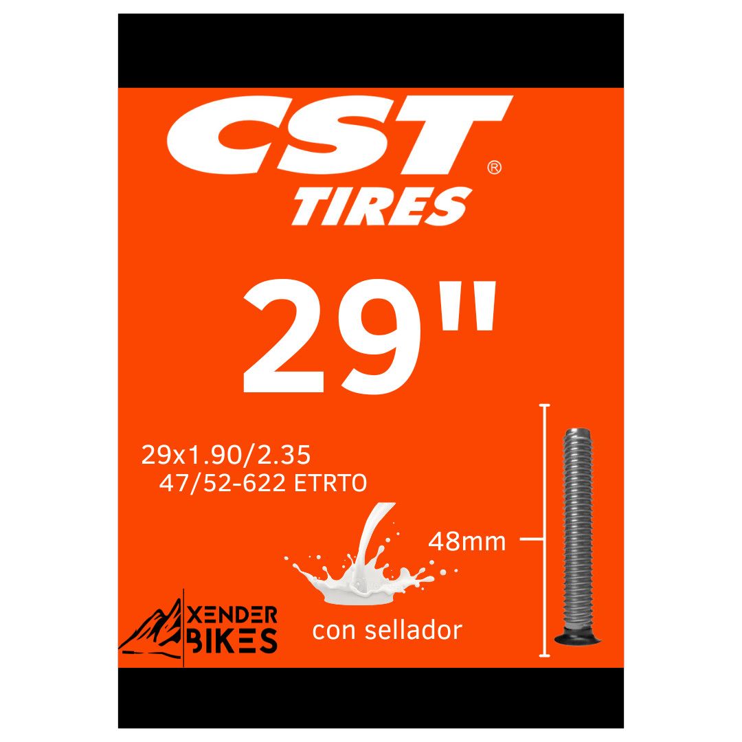 CST 29 x1.90/2.35 VA 48mm CAMARA CON SELLADOR