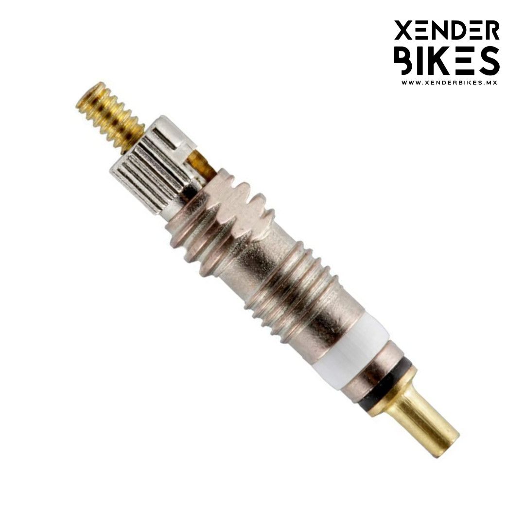 AAPEX NUCLEO DE VALVULA FRANCESA