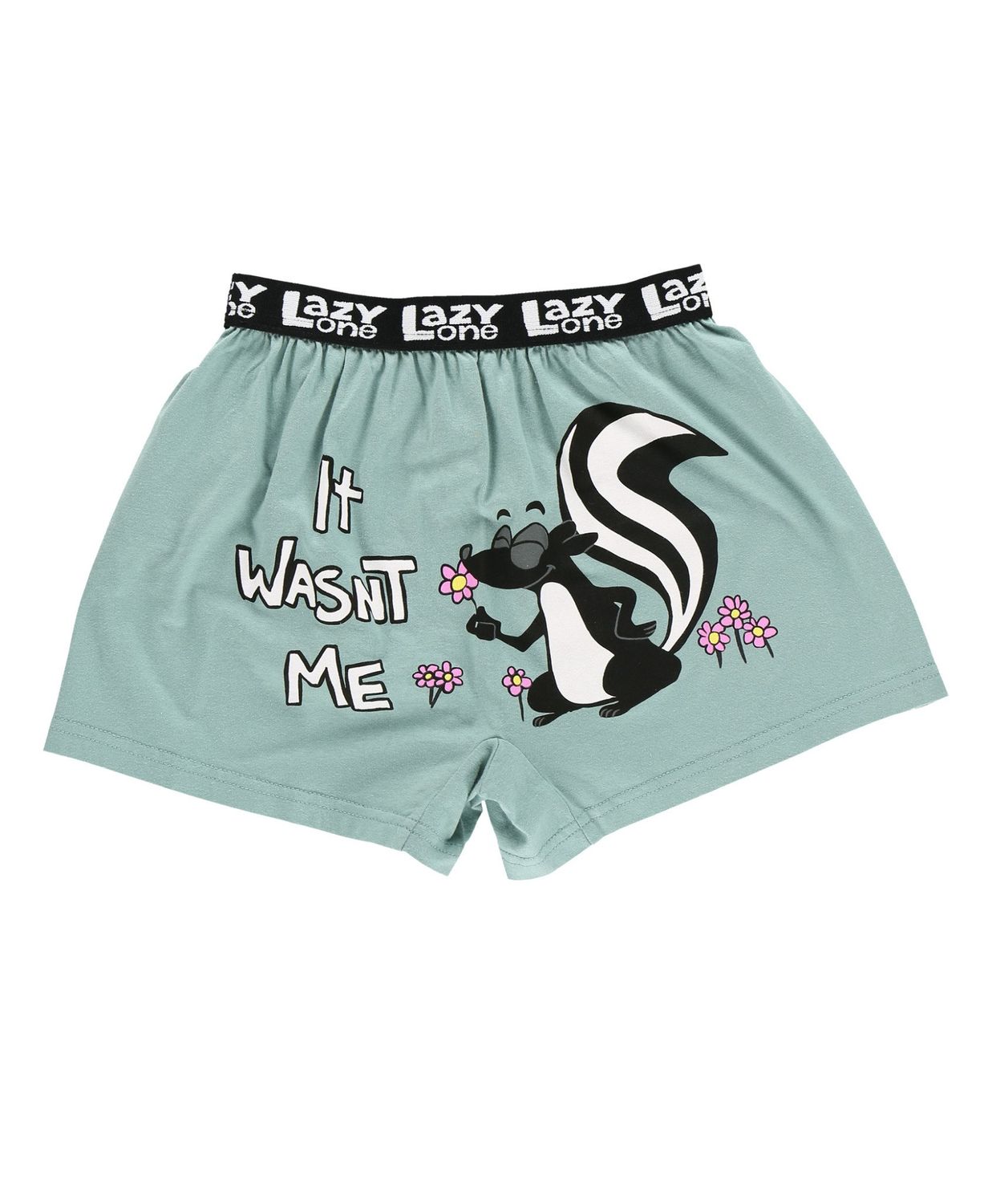 Lazy One: Wasn&#39;t Me Kid Funny Boxer: