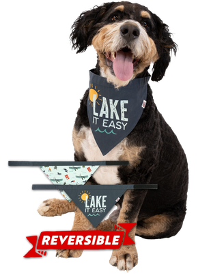 Lazy One: Lake Dog Velcro Bandana: