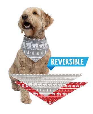 ^(P) Lazy One Nordic Reversible Dog Bandana