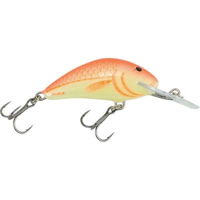 Salmo - Floating Hornet 4 - 1 5/8 in., Colour: UV ORANGE