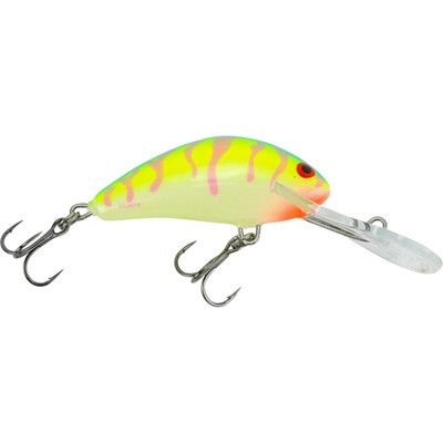 Salmo - Floating Hornet 5 - 2 in., Colour: UV CARIBBEAN TIGER