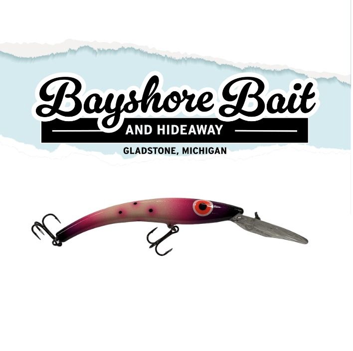 Mr. Chrome Lures - Bayshore Bait and Hideaway Exclusive - Reef Runner 800 - Purple Party Pants