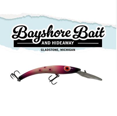 Mr. Chrome Lures - Bayshore Bait and Hideaway Exclusive - Reef Runner 800 - Purple Party Pants