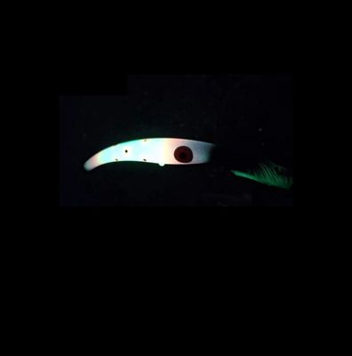 Mr. Chrome Lures - Bayshore Bait and Hideaway Exclusive - Reef Runner 800 - Purple Party Pants