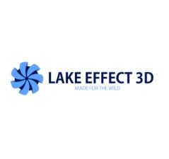 Lake Effect 3D