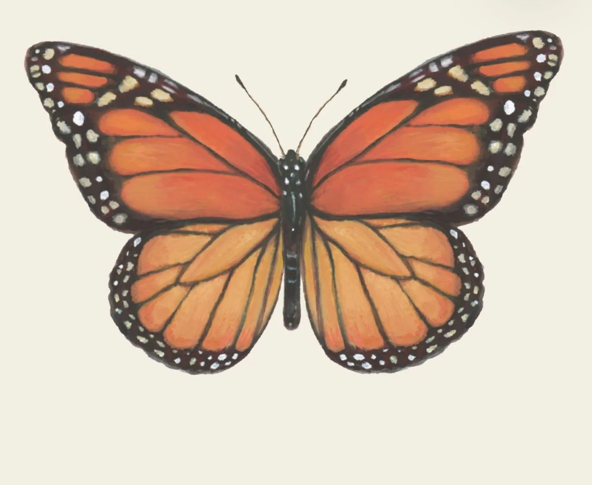Butterfly Cocktail Napkin