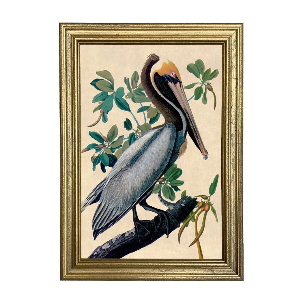 Blue Pelican Print