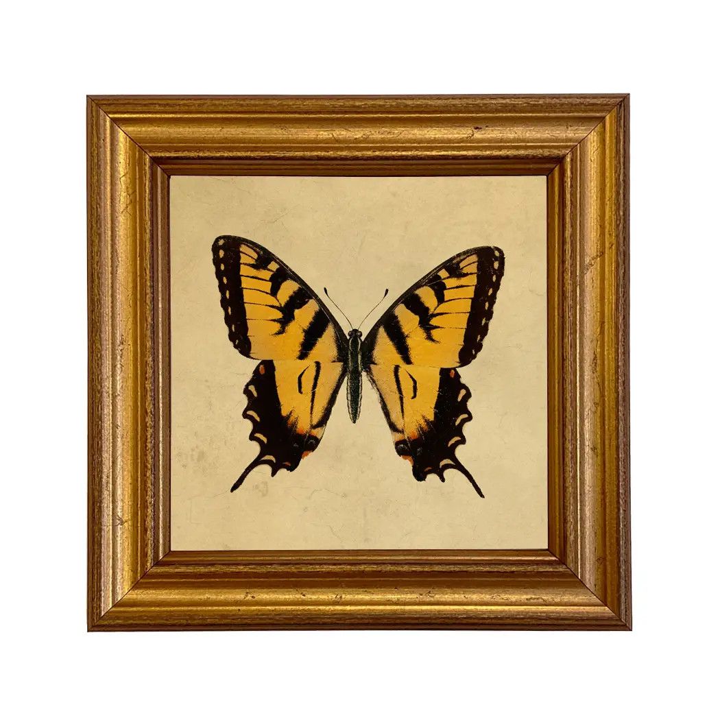 Yellow Butterfly Print