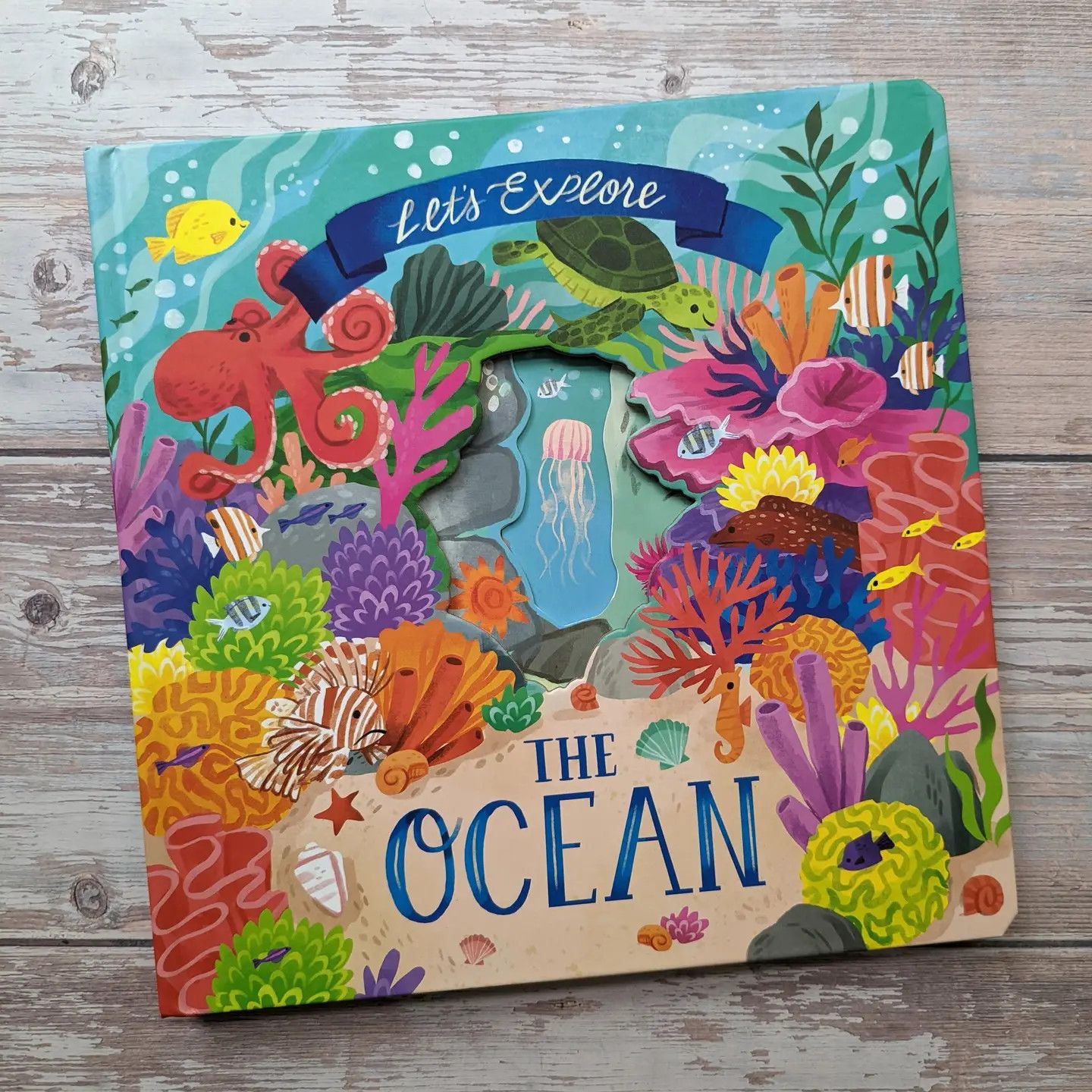 Ocean Die Cut Book