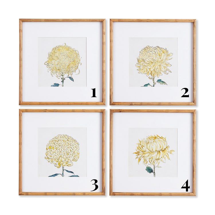 Chrysanthemums Art Prints Yellow