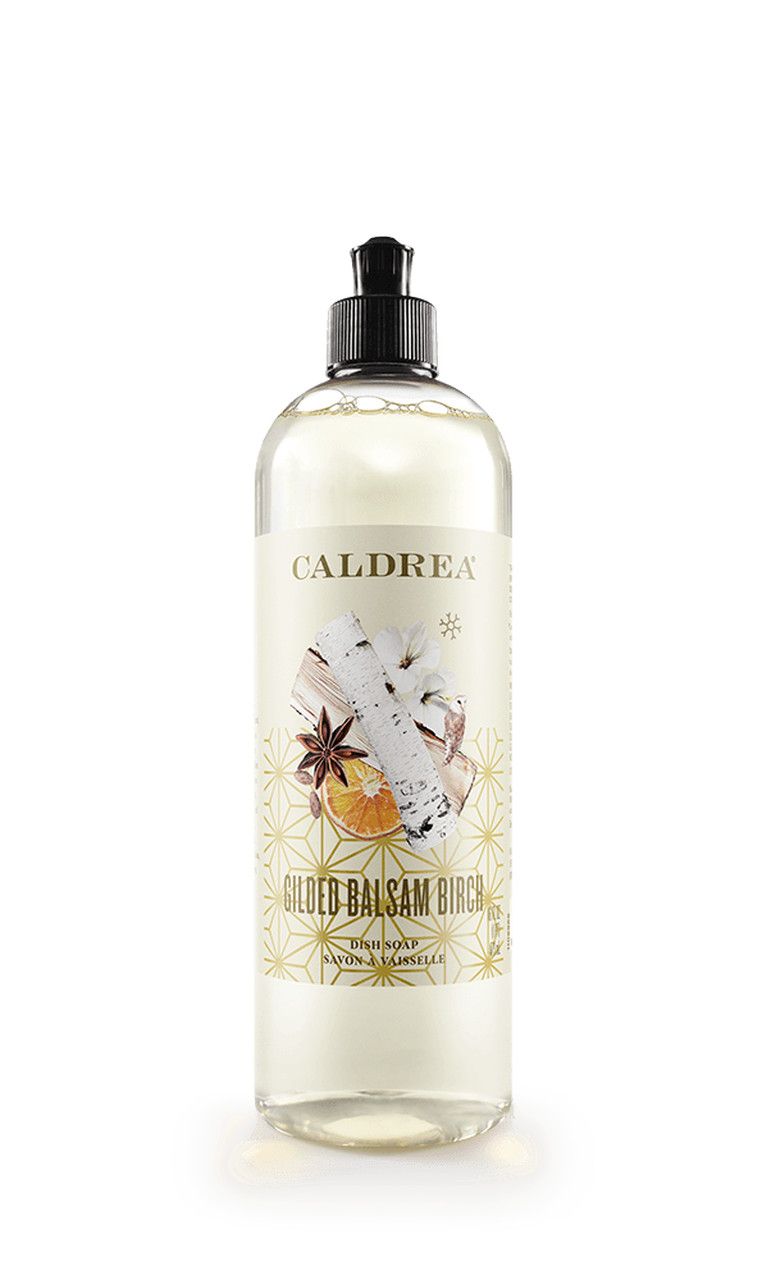 Gilded Balsam Birch Dish Soap with Bark &amp; Aloe