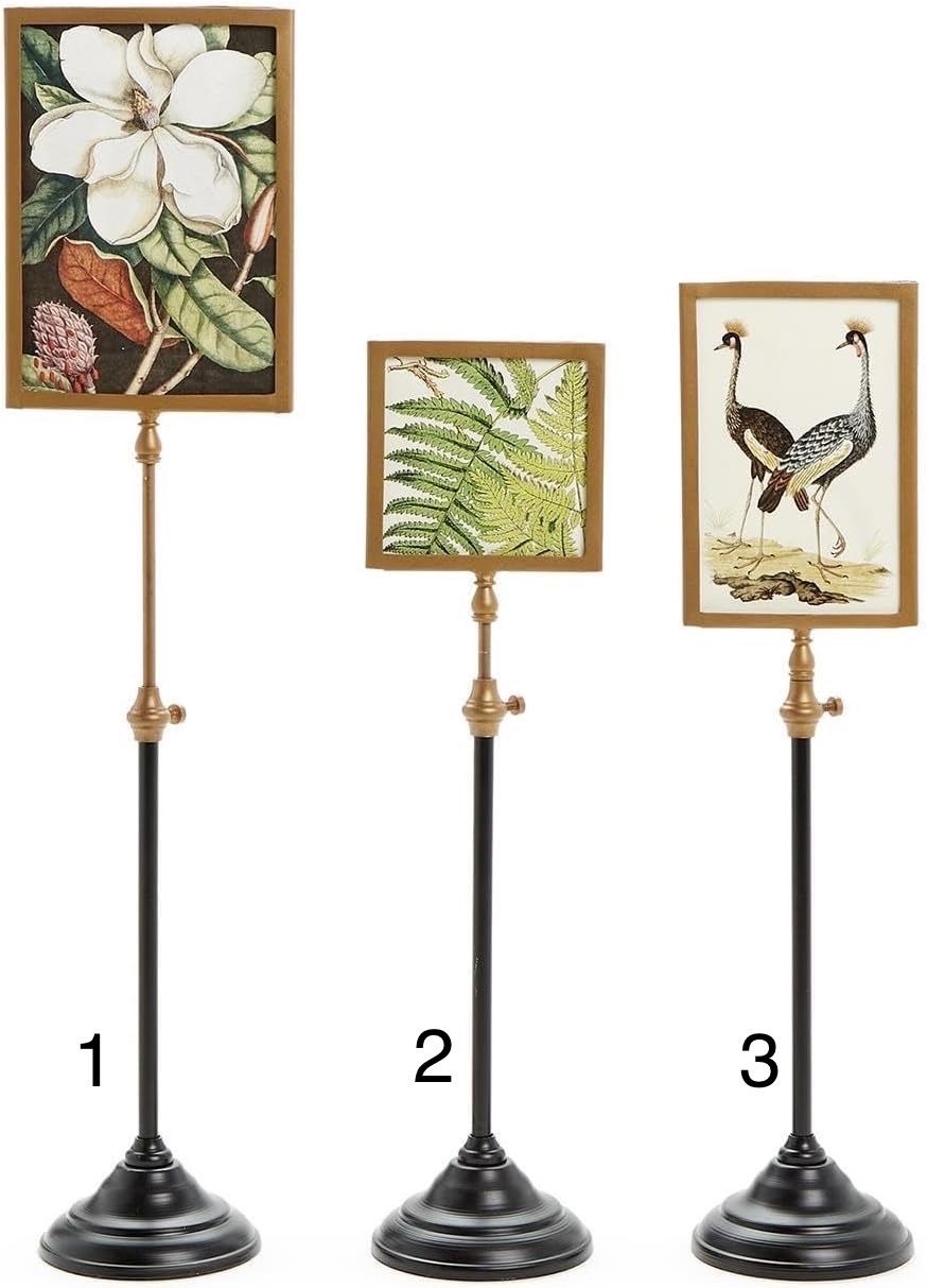 Double Sided Picture Frames - Telescoping Pole