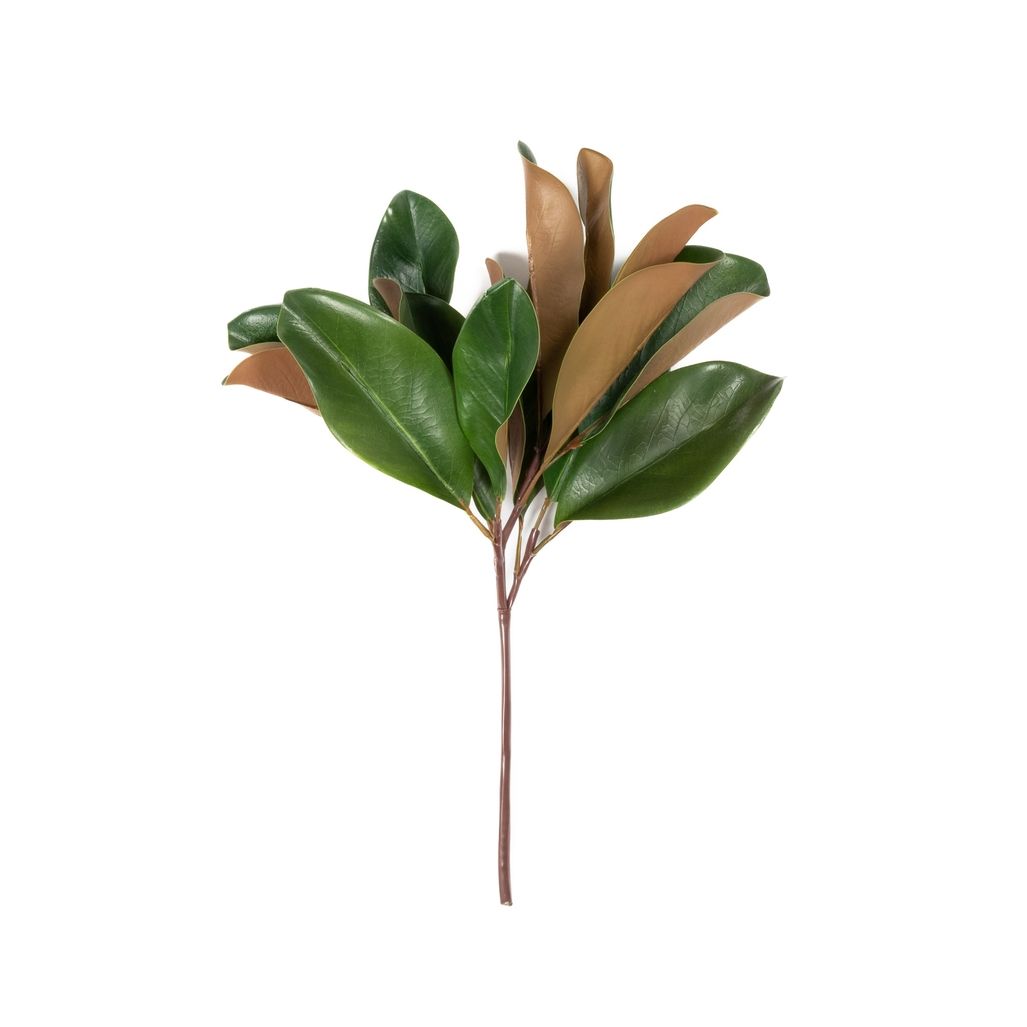 Magnolia Leaf Spray