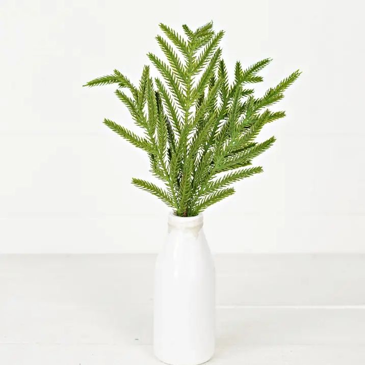 Norfolk Pine Spray - 36&quot; Green