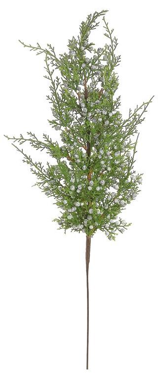 Seeding Juniper Spray 28&quot;