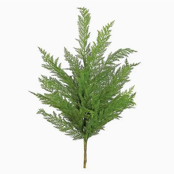 Cedar Branch 38&quot;