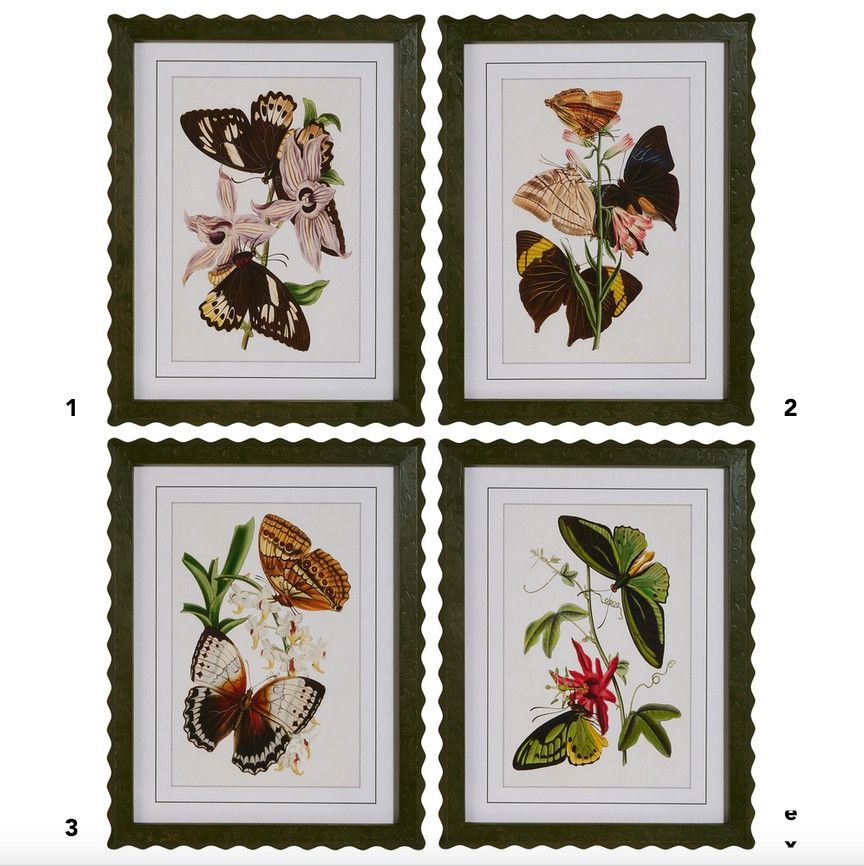 21" Butterfly Framed Wall Art