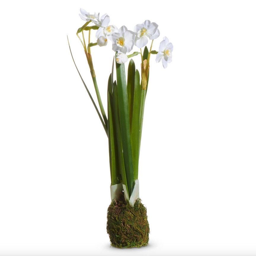 10.5" Narcissus Plant Drop In