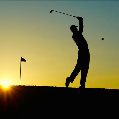 Birdie Sponsorship