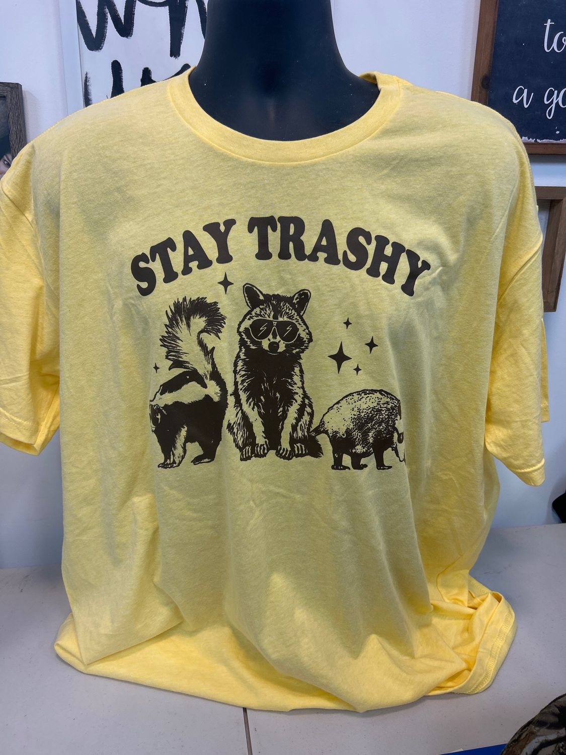 Cute Stay Trashy Shirt!