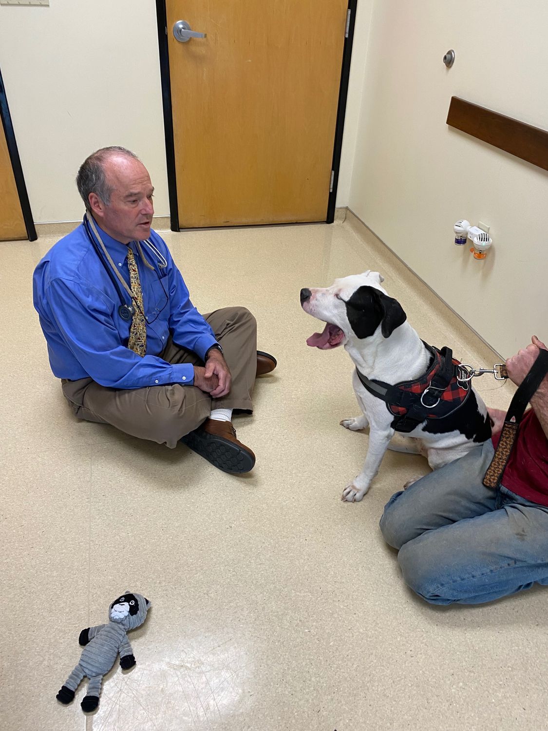 Chappy’s Vet Visit at Animal Care Clinic | Witty Dog