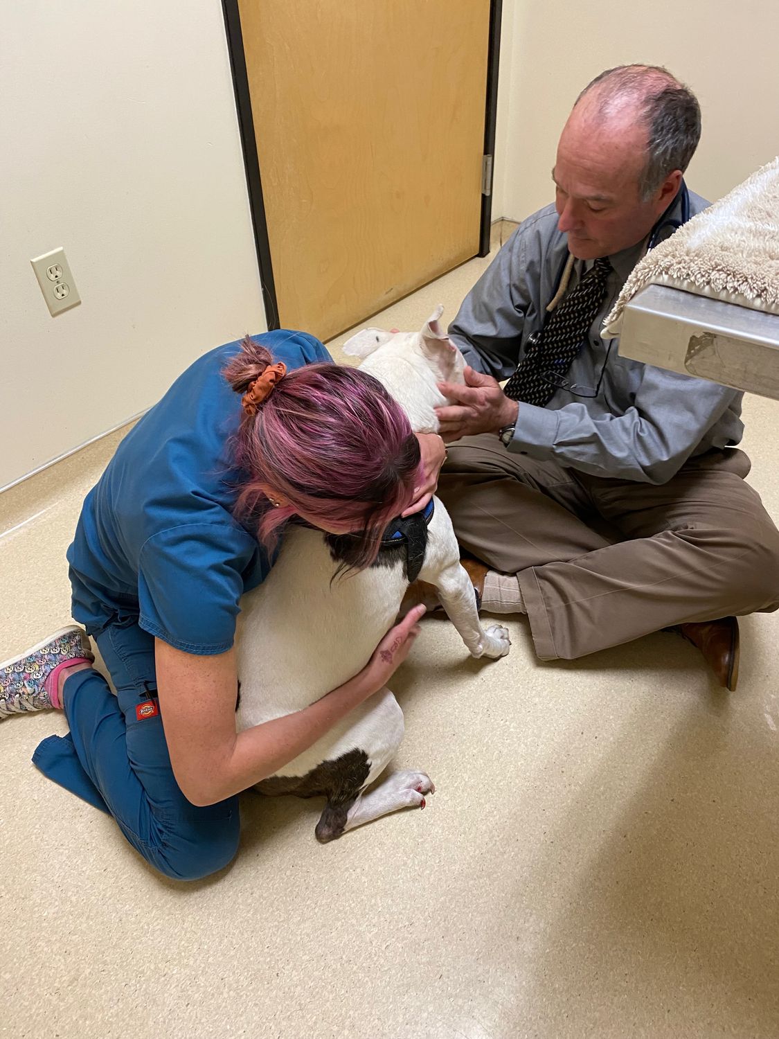 Duds’ Vet Exam at Animal Care Clinic | Witty Dog