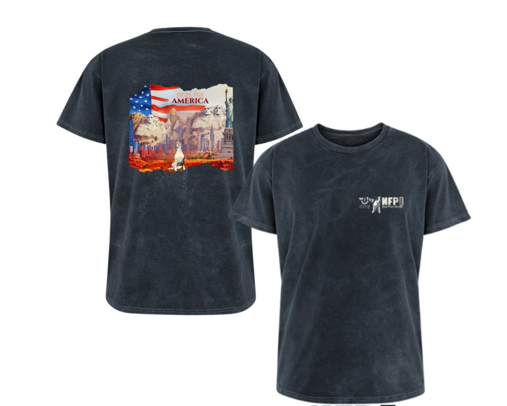 Unisex “Pray for America&quot; Mineral-Wash T-Shirt | Witty Dog