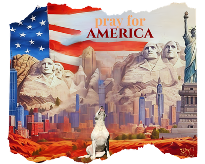 Unisex “Pray for America&quot; Mineral-Wash T-Shirt | Witty Dog