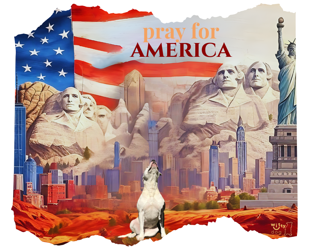 Men's "Pray for America" T-Shirt | Witty Dog