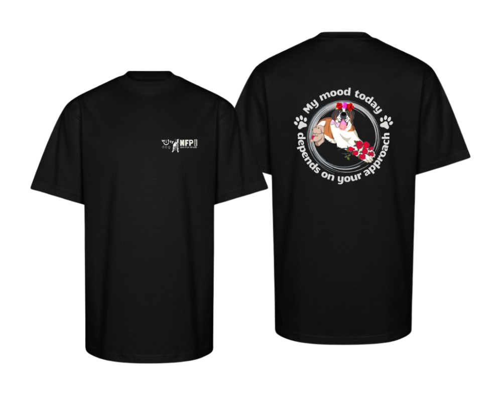 Unisex “My Mood Today depends on Your Approach” Oversized T-Shirt | Witty Dog