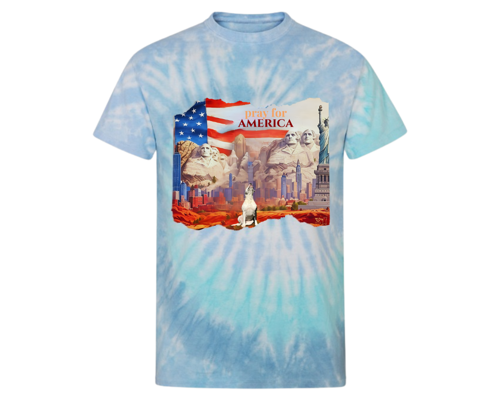 Unisex "Pray for America" tie-dye Shirt | Witty Dog