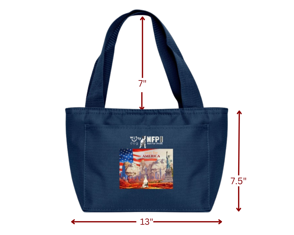 "Pray for for America" Insulated Lunch Bag | Witty Dog